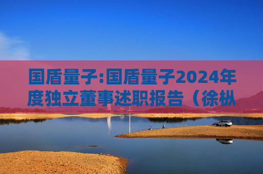 国盾量子:国盾量子2024年度独立董事述职报告（徐枞巍）  第1张
