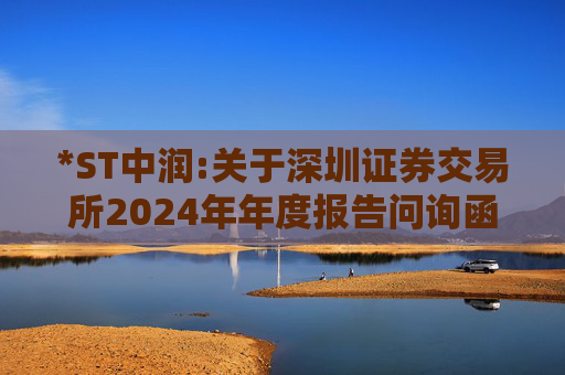*ST中润:关于深圳证券交易所2024年年度报告问询函回复的公告  第1张
