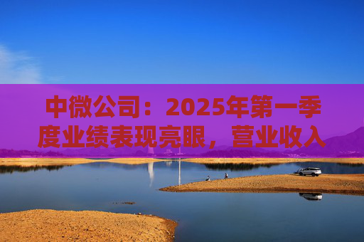 中微公司:2025年第一季度业绩表现亮眼,营业收入达21.73亿元 第1张 中微公司:2025年第一季度业绩表现亮眼,营业收入达21.73亿元 第1张