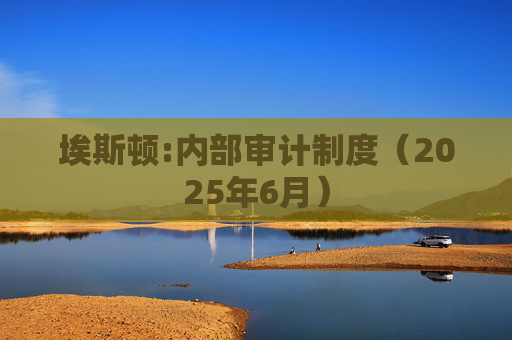 埃斯顿:内部审计制度（2025年6月）  第1张