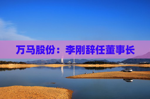 万马股份:李刚辞任董事长
