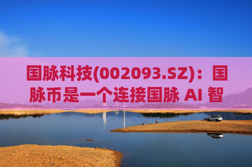 国脉科技(002093.SZ)：国脉币是一个连接国脉 AI 智能体和实体服务的激励机制与服务兑换中介，其具备了稳定币的部分功能