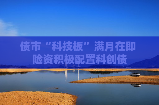 债市“科技板”满月在即 险资积极配置科创债