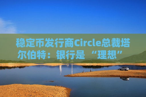稳定币发行商Circle总裁塔尔伯特：银行是 “理想” 合作伙伴  第1张