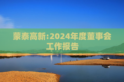 蒙泰高新:2024年度董事会工作报告