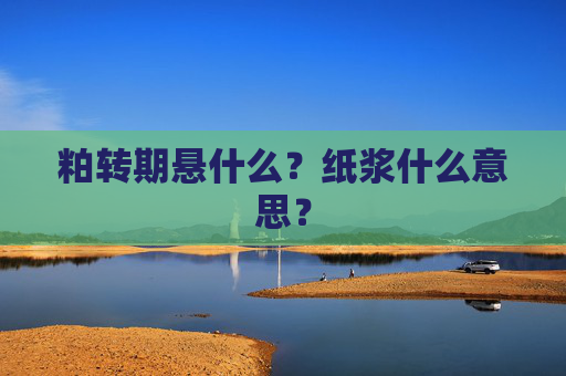 粕转期悬什么?纸浆什么意思?