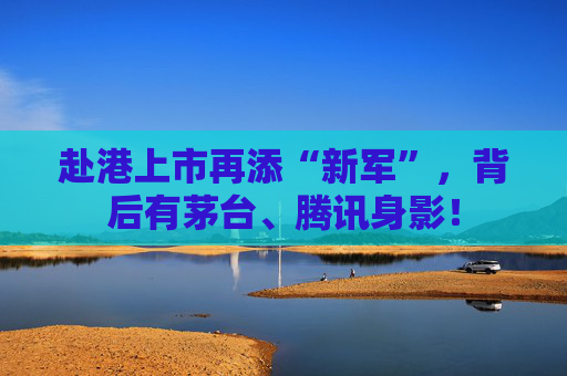 赴港上市再添“新军”，背后有茅台、腾讯身影！