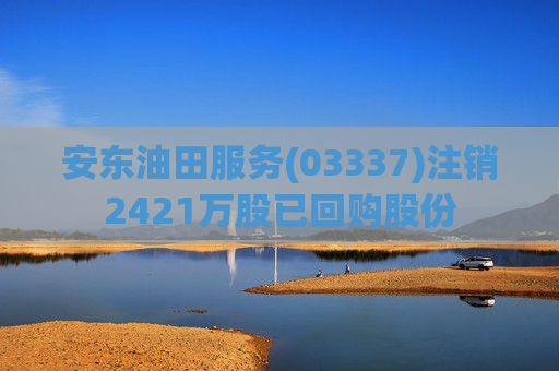 安东油田服务(03337)注销2421万股已回购股份