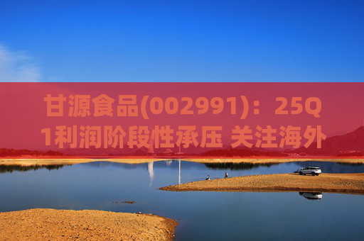 甘源食品(002991):25Q1利润阶段性承压 关注海外市场突破