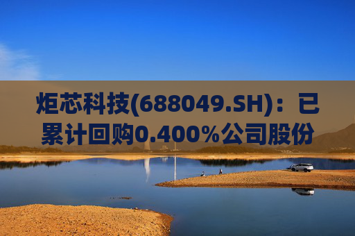 炬芯科技(688049.SH)：已累计回购0.400%公司股份