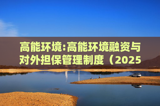高能环境:高能环境融资与对外担保管理制度(2025年6月)
