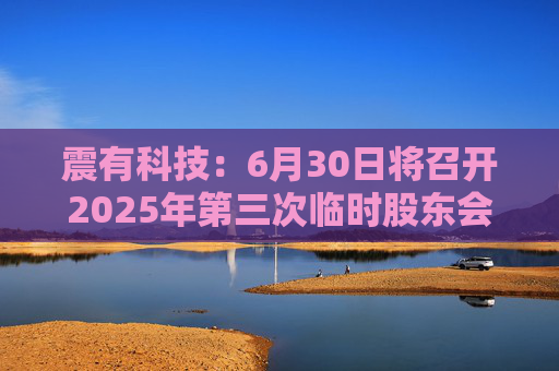 震有科技：6月30日将召开2025年第三次临时股东会
