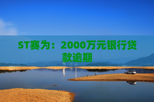 ST赛为：2000万元银行贷款逾期