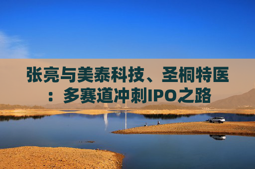 张亮与美泰科技、圣桐特医:多赛道冲刺IPO之路