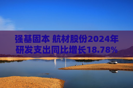 强基固本 航材股份2024年研发支出同比增长18.78%  第1张