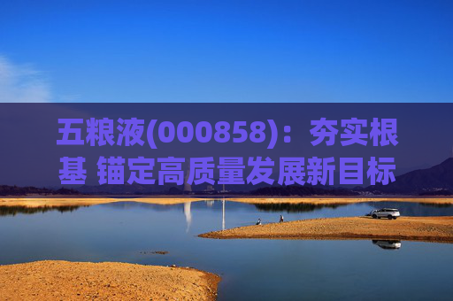 五粮液(000858)：夯实根基 锚定高质量发展新目标