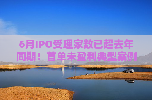 6月IPO受理家数已超去年同期!首单未盈利典型案例或本月出炉 第1张 6月IPO受理家数已超去年同期!首单未盈利典型案例或本月出炉 第1张