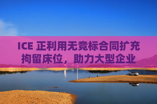 ICE 正利用无竞标合同扩充拘留床位，助力大型企业  第1张