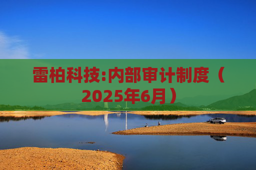 雷柏科技:内部审计制度(2025年6月)