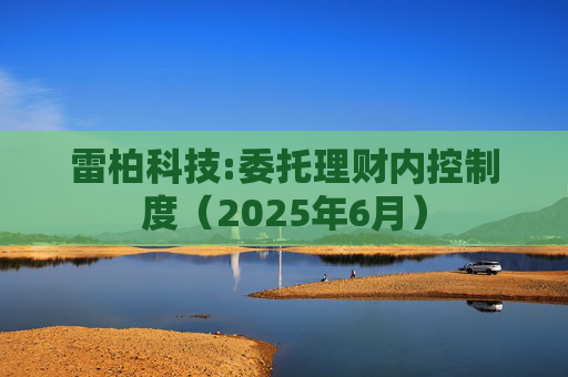 雷柏科技:委托理财内控制度(2025年6月)