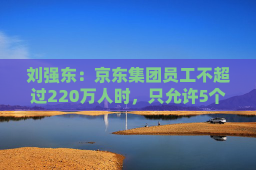 刘强东：京东集团员工不超过220万人时，只允许5个组织层级