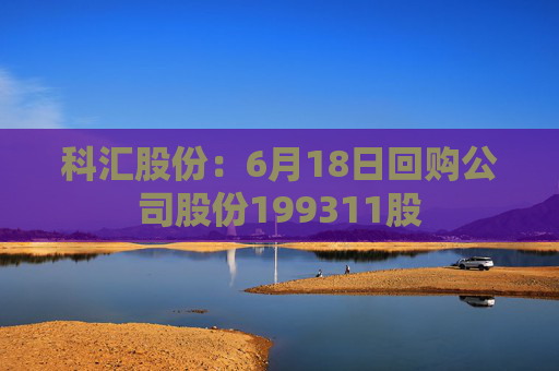 科汇股份：6月18日回购公司股份199311股