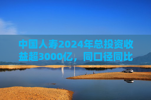 中国人寿2024年总投资收益超3000亿,同口径同比增长150.4%