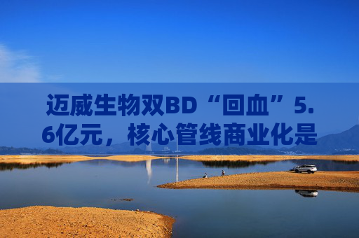 迈威生物双BD“回血”5.6亿元，核心管线商业化是胜负手