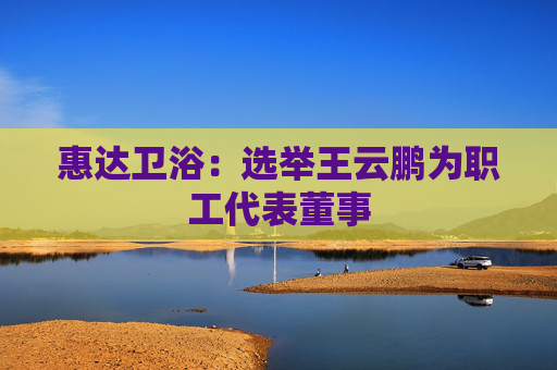 惠达卫浴:选举王云鹏为职工代表董事