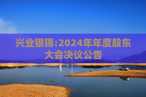 兴业银锡:2024年年度股东大会决议公告