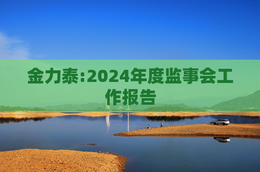 金力泰:2024年度监事会工作报告  第1张
