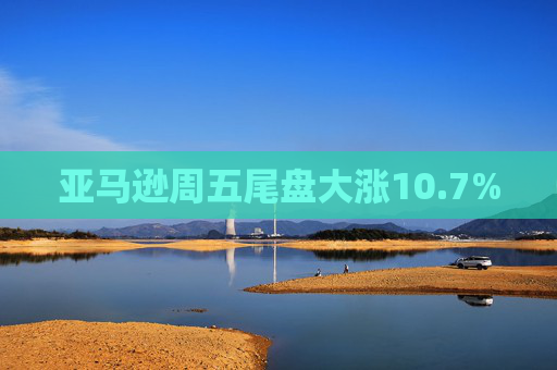 亚马逊周五尾盘大涨10.7%
