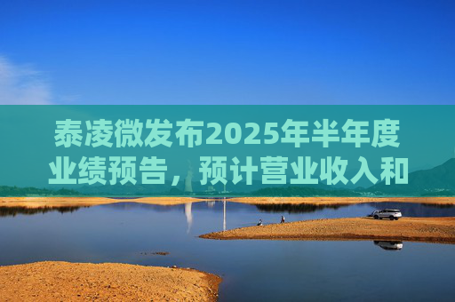 泰凌微发布2025年半年度业绩预告，预计营业收入和净利润将分别同比增长37%和267%