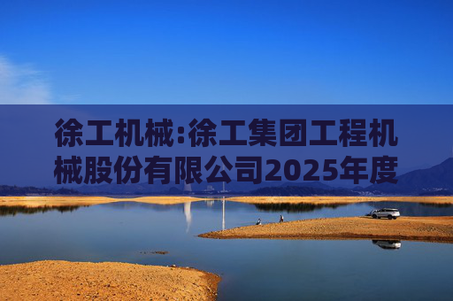 徐工机械:徐工集团工程机械股份有限公司2025年度跟踪评级报告