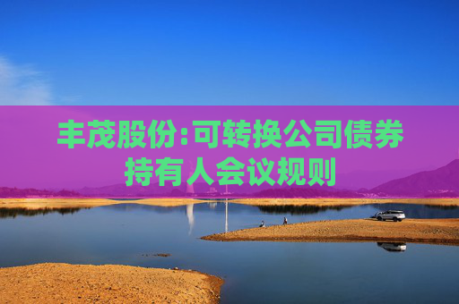 丰茂股份:可转换公司债券持有人会议规则