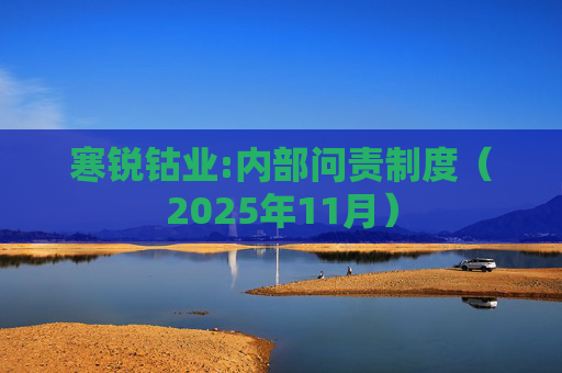 寒锐钴业:内部问责制度(2025年11月)