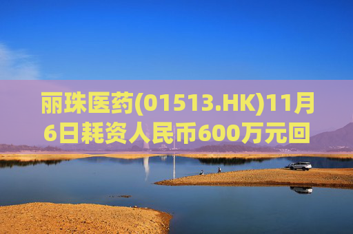 丽珠医药(01513.HK)11月6日耗资人民币600万元回购16.3万股A股  第1张