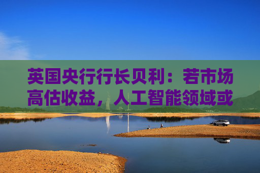 英国央行行长贝利：若市场高估收益，人工智能领域或存泡沫风险