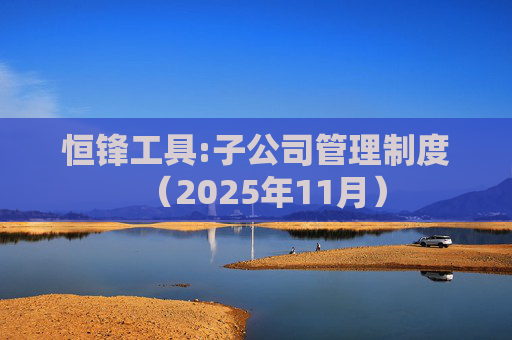 恒锋工具:子公司管理制度（2025年11月）