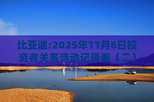 比亚迪:2025年11月6日投资者关系活动记录表（二）