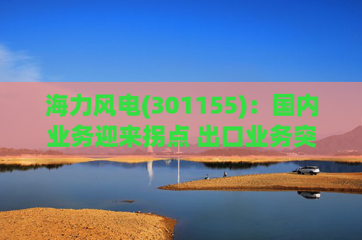 海力风电(301155)：国内业务迎来拐点 出口业务突破可期
