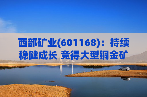 西部矿业(601168):持续稳健成长 竞得大型铜金矿-茶亭铜多金属矿