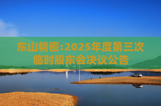 东山精密:2025年度第三次临时股东会决议公告  第1张