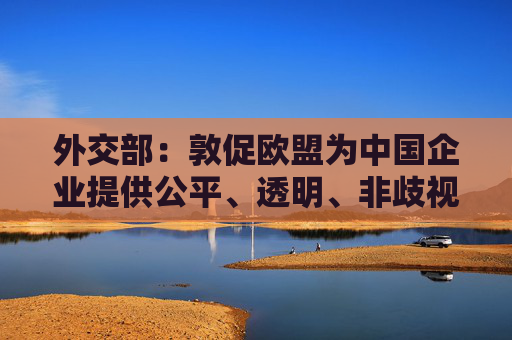 外交部：敦促欧盟为中国企业提供公平、透明、非歧视的营商环境