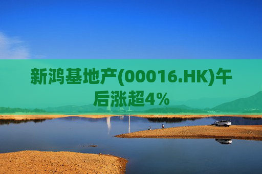 新鸿基地产(00016.HK)午后涨超4%