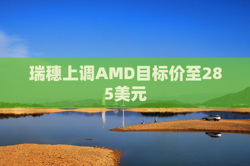 瑞穗上调AMD目标价至285美元
