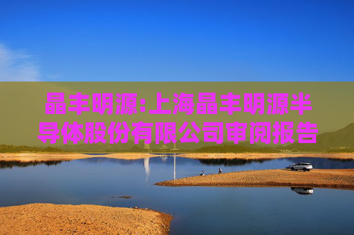 晶丰明源:上海晶丰明源半导体股份有限公司审阅报告及备考合并财务报表(2024年度至2025年5月)
