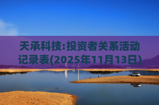 天承科技:投资者关系活动记录表(2025年11月13日)