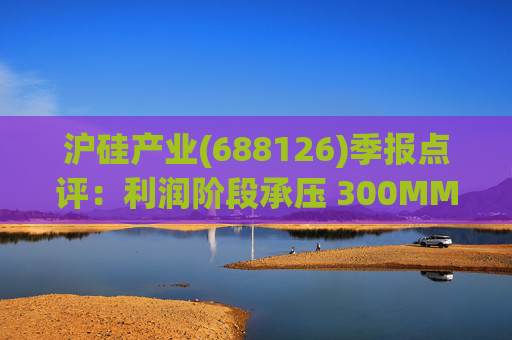 沪硅产业(688126)季报点评:利润阶段承压 300MM硅片以量补价