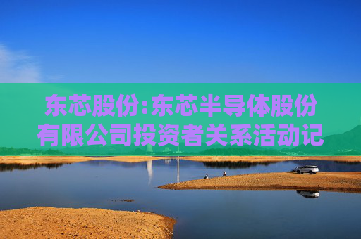 东芯股份:东芯半导体股份有限公司投资者关系活动记录表(2025年11月10日)